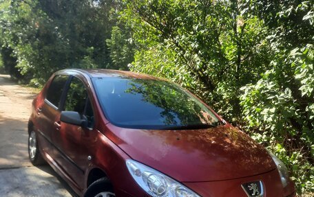 Peugeot 307 I, 2006 год, 370 000 рублей, 3 фотография