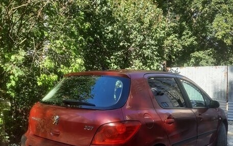 Peugeot 307 I, 2006 год, 370 000 рублей, 5 фотография