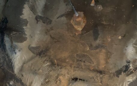 Honda Civic VIII, 2007 год, 700 000 рублей, 7 фотография