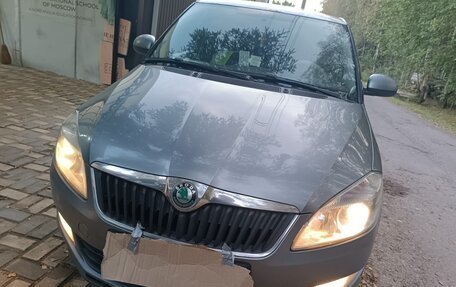 Skoda Fabia II, 2012 год, 550 000 рублей, 10 фотография