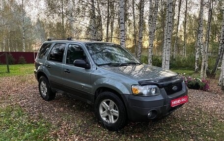 Ford Escape II, 2006 год, 900 000 рублей, 1 фотография