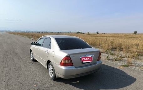 Toyota Corolla, 2002 год, 610 000 рублей, 7 фотография