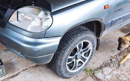 Chevrolet Niva I рестайлинг, 2004 год, 299 999 рублей, 7 фотография