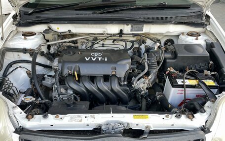 Toyota Corolla, 2002 год, 428 000 рублей, 9 фотография