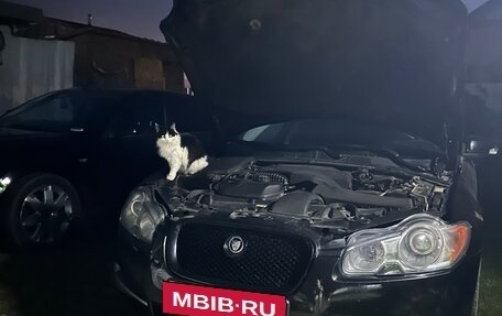 Jaguar XF I рестайлинг, 2008 год, 1 000 000 рублей, 10 фотография