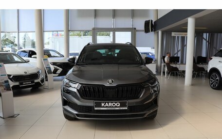 Skoda Karoq I, 2025 год, 4 700 000 рублей, 8 фотография
