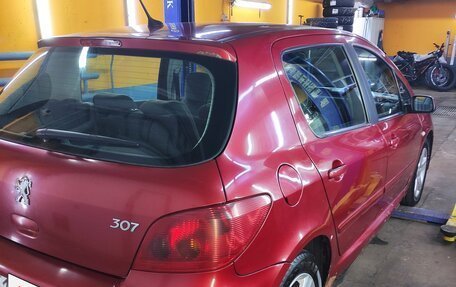 Peugeot 307 I, 2004 год, 350 000 рублей, 7 фотография