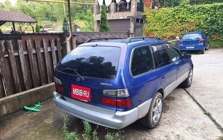 Toyota Corolla, 1998 год, 499 999 рублей, 3 фотография