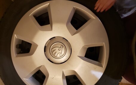 Skoda Octavia, 2019 год, 1 200 000 рублей, 16 фотография