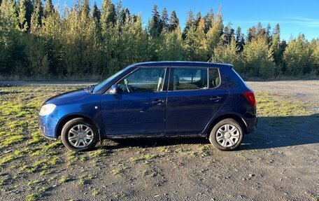 Skoda Fabia II, 2009 год, 350 000 рублей, 9 фотография