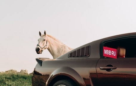 Ford Mustang VI рестайлинг, 2005 год, 2 500 000 рублей, 8 фотография