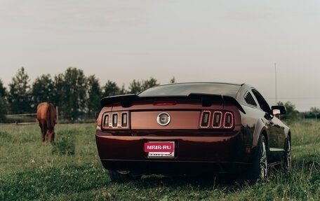 Ford Mustang VI рестайлинг, 2005 год, 2 500 000 рублей, 9 фотография