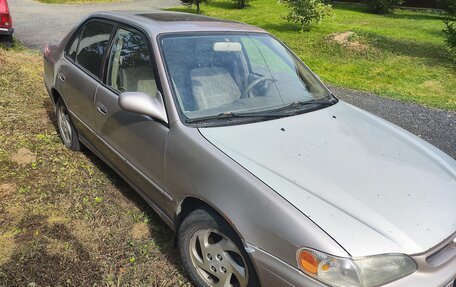 Toyota Corolla, 1998 год, 370 000 рублей, 1 фотография
