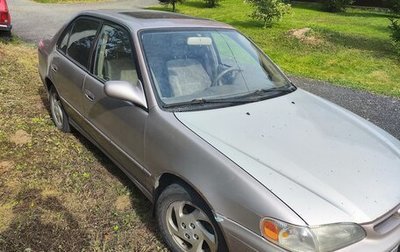 Toyota Corolla, 1998 год, 370 000 рублей, 1 фотография