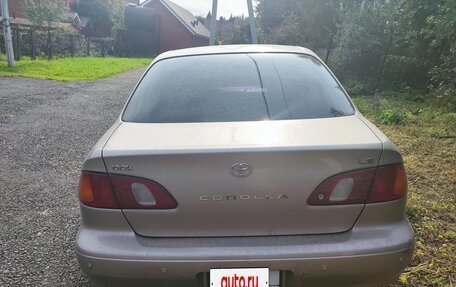 Toyota Corolla, 1998 год, 370 000 рублей, 4 фотография