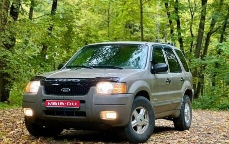 Ford Escape II, 2001 год, 450 000 рублей, 1 фотография