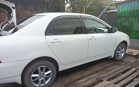 Toyota Corolla, 2003 год, 560 000 рублей, 7 фотография