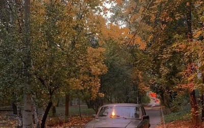 ГАЗ 31029 «Волга», 1994 год, 150 000 рублей, 1 фотография