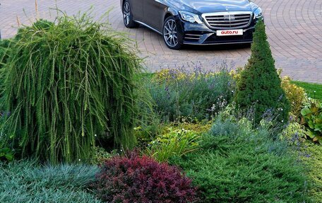 Mercedes-Benz S-Класс, 2019 год, 7 999 999 рублей, 3 фотография