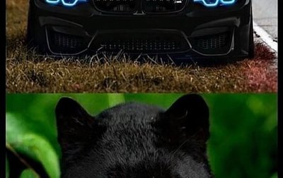 BMW 7 серия, 2017 год, 4 250 000 рублей, 1 фотография