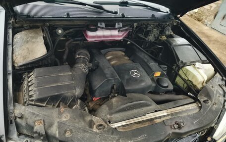 Mercedes-Benz M-Класс, 2003 год, 950 000 рублей, 13 фотография