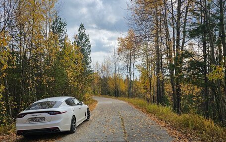 KIA Stinger I, 2019 год, 3 000 000 рублей, 3 фотография