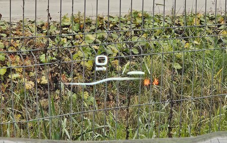 Haval Jolion, 2022 год, 1 850 000 рублей, 21 фотография