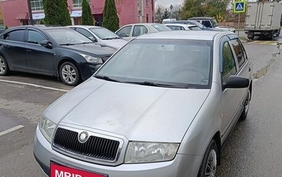 Skoda Fabia I, 2003 год, 280 000 рублей, 1 фотография