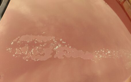 Toyota ISis I, 2009 год, 1 400 000 рублей, 5 фотография