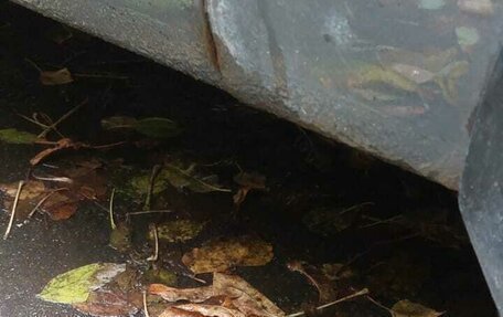 KIA Rio III рестайлинг, 2013 год, 799 999 рублей, 15 фотография