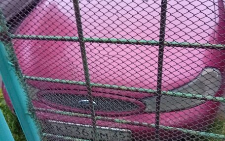 Ford Mondeo II, 1999 год, 60 000 рублей, 2 фотография