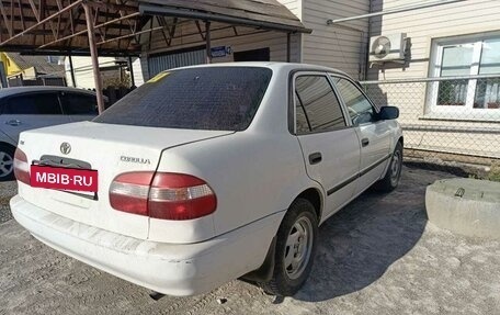 Toyota Corolla, 2000 год, 320 000 рублей, 4 фотография