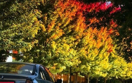 BMW 3 серия, 1998 год, 650 000 рублей, 3 фотография