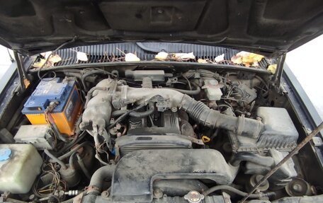 KIA Sportage IV рестайлинг, 2002 год, 350 000 рублей, 12 фотография