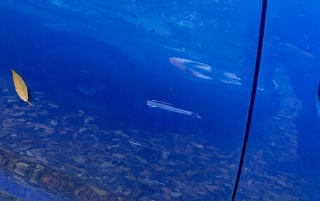 Renault Sandero II рестайлинг, 2019 год, 1 400 000 рублей, 9 фотография