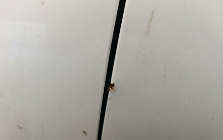 KIA Cerato IV, 2021 год, 1 700 000 рублей, 12 фотография