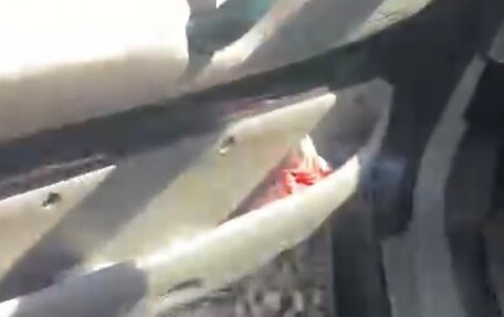 Land Rover Freelander II рестайлинг 2, 2001 год, 500 000 рублей, 16 фотография