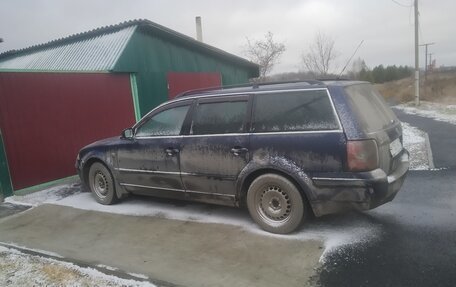 Volkswagen Passat B5+ рестайлинг, 1999 год, 400 000 рублей, 4 фотография