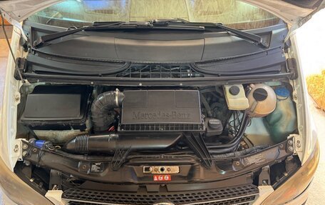 Mercedes-Benz Vito, 2006 год, 1 500 000 рублей, 24 фотография