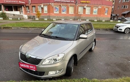 Skoda Fabia II, 2010 год, 650 000 рублей, 3 фотография