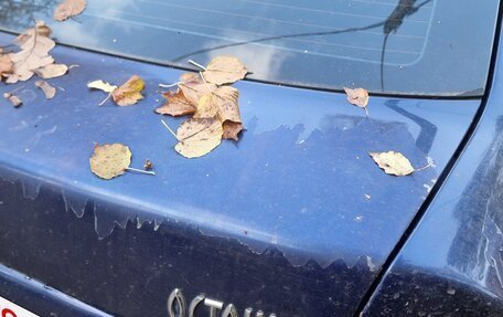 Skoda Octavia IV, 2005 год, 170 000 рублей, 5 фотография