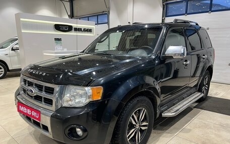 Ford Escape II, 2010 год, 725 000 рублей, 1 фотография