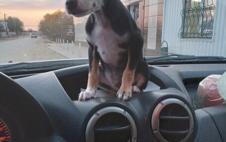 Renault Duster I рестайлинг, 2014 год, 930 000 рублей, 6 фотография