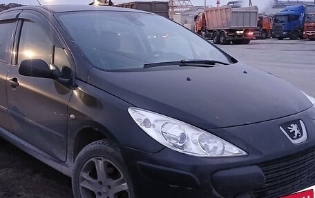 Peugeot 307 I, 2007 год, 285 000 рублей, 4 фотография