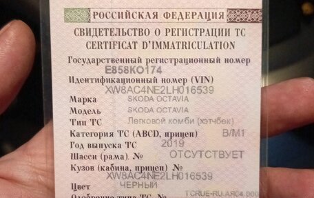 Skoda Octavia, 2019 год, 800 000 рублей, 2 фотография