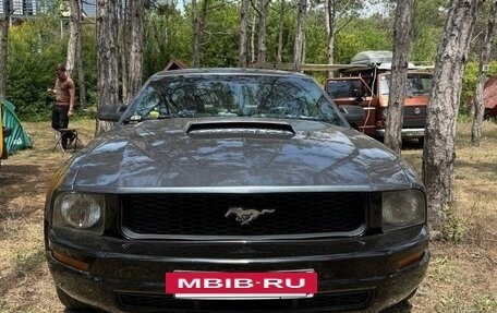 Ford Mustang VI рестайлинг, 2005 год, 2 200 000 рублей, 6 фотография
