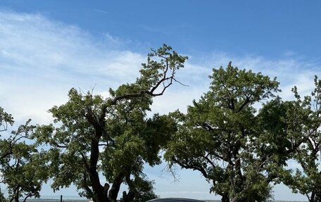 Ford Mustang VI рестайлинг, 2005 год, 2 200 000 рублей, 7 фотография