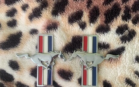 Ford Mustang VI рестайлинг, 2005 год, 2 200 000 рублей, 16 фотография