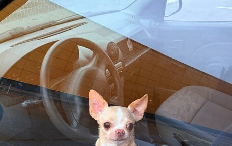 Renault Logan I, 2006 год, 275 000 рублей, 1 фотография