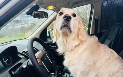 Land Rover Freelander II рестайлинг 2, 2014 год, 1 449 900 рублей, 1 фотография